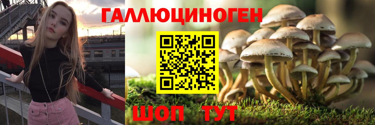 Галлюциногенные грибы прущие грибы  Вход с VPN  Вязники  Псилоцибиновые грибы Magic Shrooms 